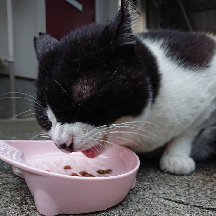 53e442ef 1b0e 471f 831d 034deca72d4f 1631780348372