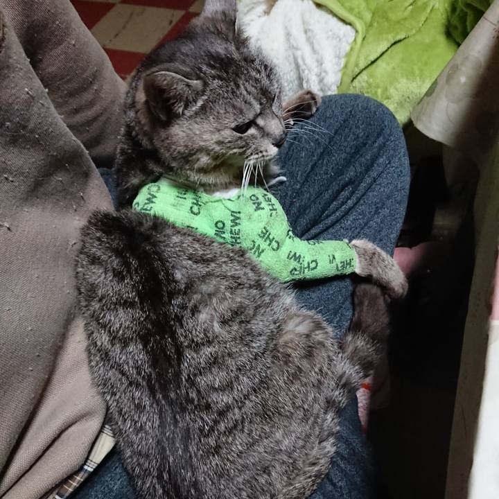 53e45545 d2f8 451b bd8b 38a656ec5379 1587584022621