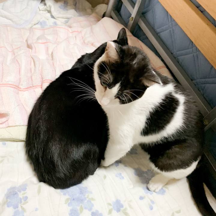 53e48f27 b341 467e a345 a65e1132062d 1539311961725