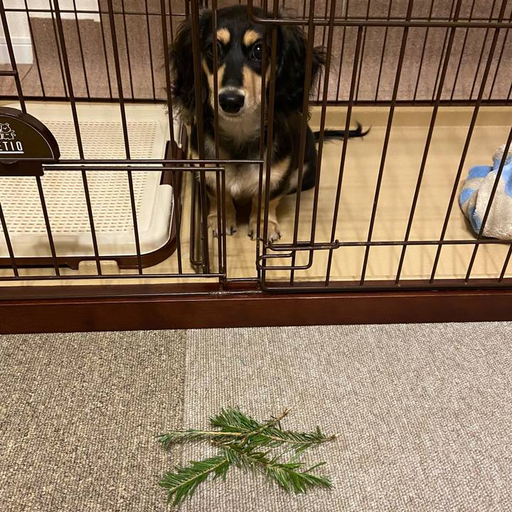 53e49507 79c7 4837 b793 77a41d6f5a89 1671781845691