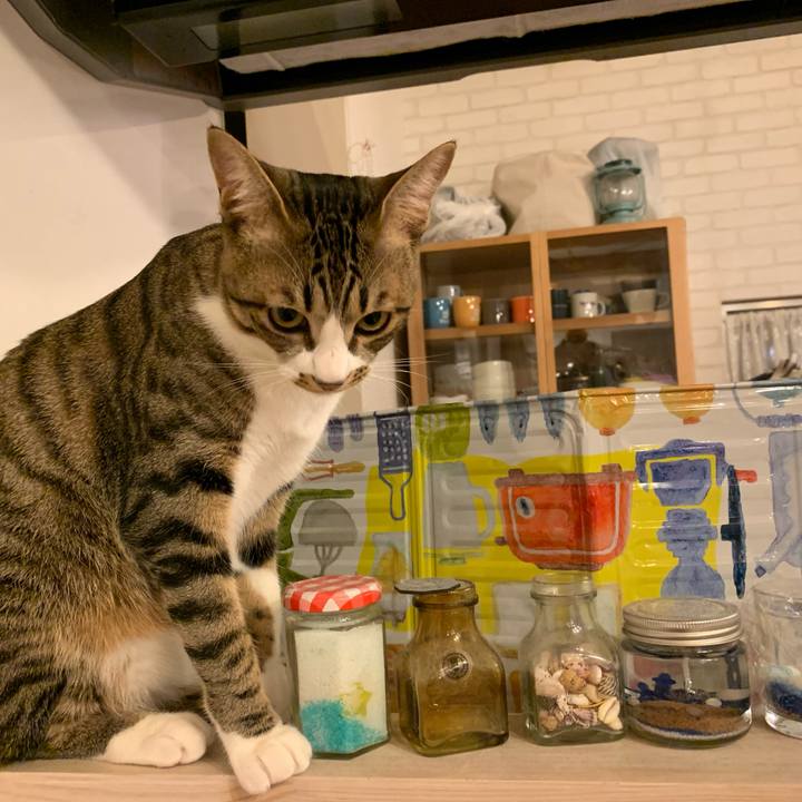 53e49f72 d886 4a6d 8619 7a75411e3c37 1602252679671