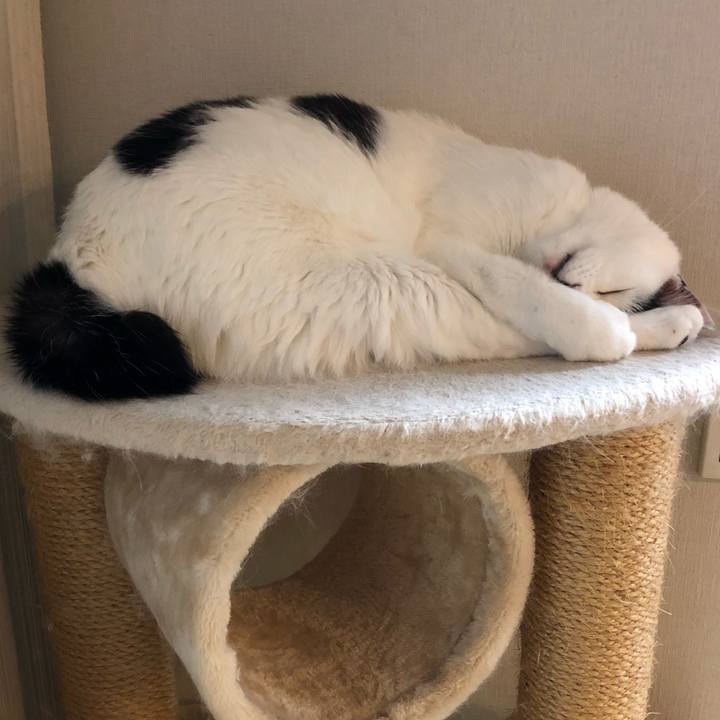 53e4b3ab 1e74 4fb5 8bf5 0f5b21058e6b 1540308334060