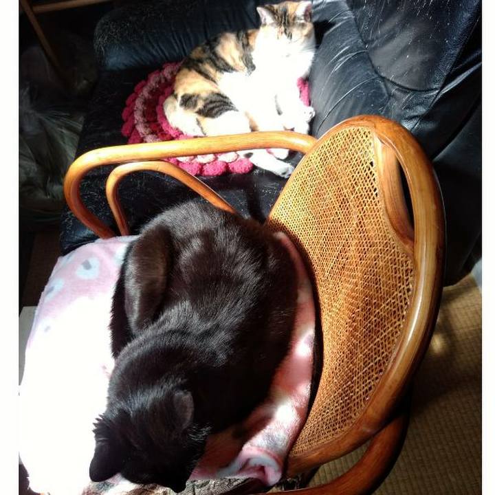 53e4ce70 8696 4206 89b0 0d1685d92eaf 1615608448458