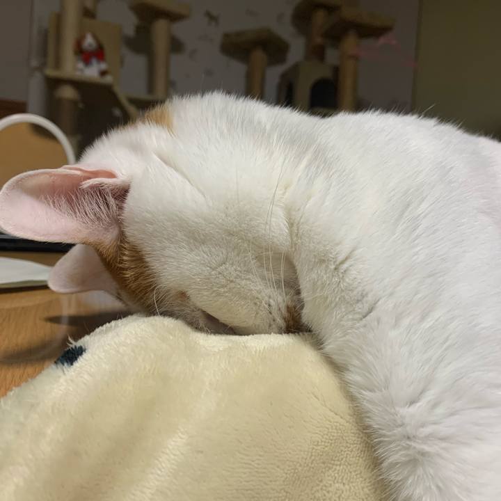 53e50b33 4928 4c49 bbd0 70bfbce02125 1584275894854