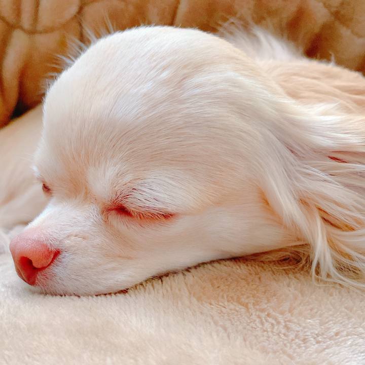 53e5430b 626a 4489 b678 6cdf689d4362 1644023071296