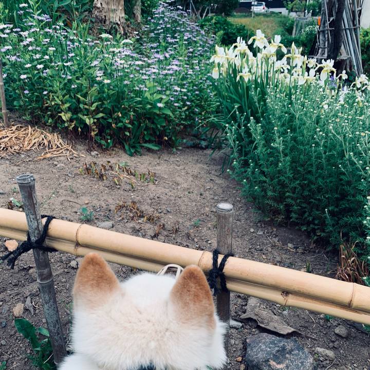 53e5470b d846 40c2 8111 a028f3045705 1623875815013