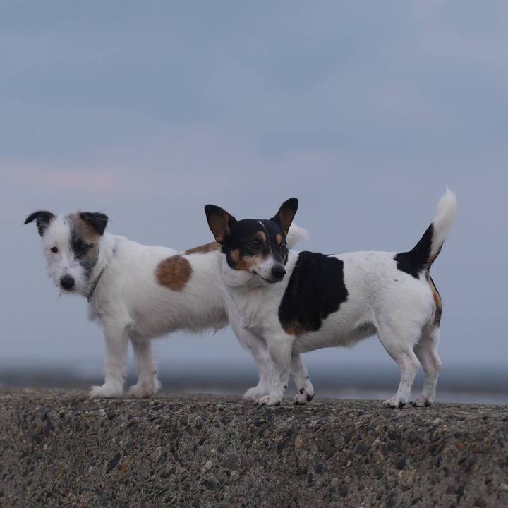 53e560a8 915b 4efb a283 a8e2ded287be 1576643376743