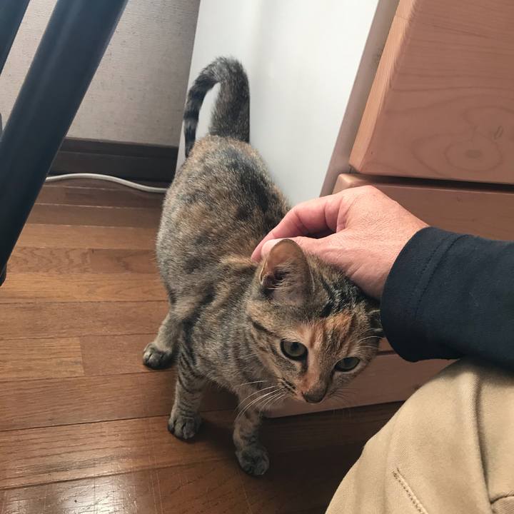 53e56475 115f 4f93 a65a c92ac62f92f0 1543810068858