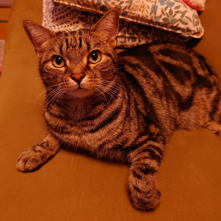 53e575b9 0500 456b 8ef3 62484261c7e0 1656760813729