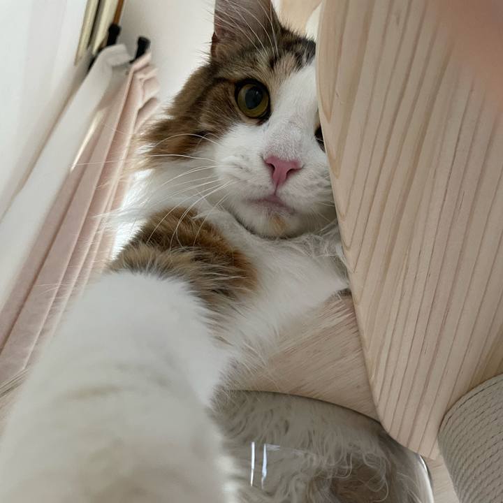 53e5a356 eba3 4f8a 8aca a83b5c47d07e 1654639601418