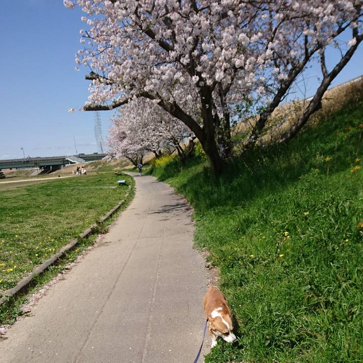 53e64968 59d9 40b8 9edd 164e20dd992d 1586489998050