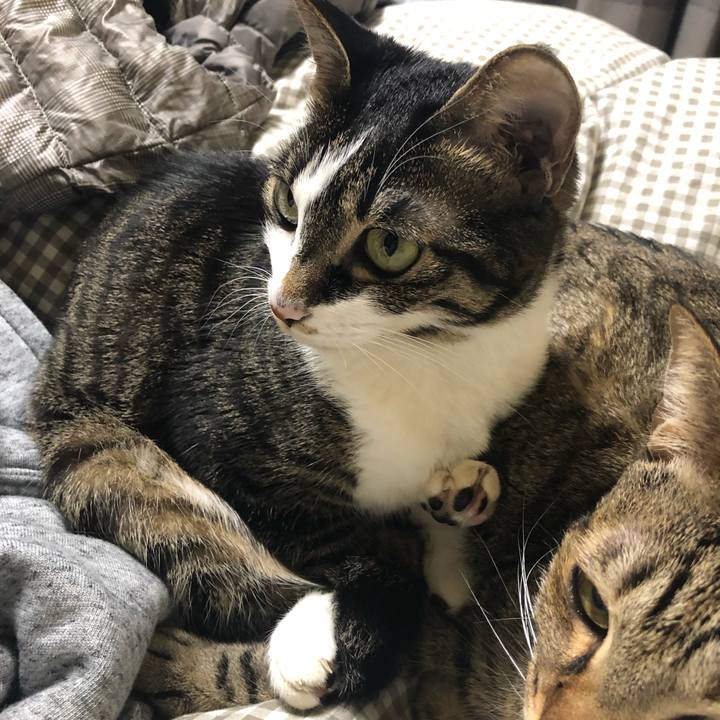 53e662fe fe79 4b82 a904 258065dd11d0 1550331397881