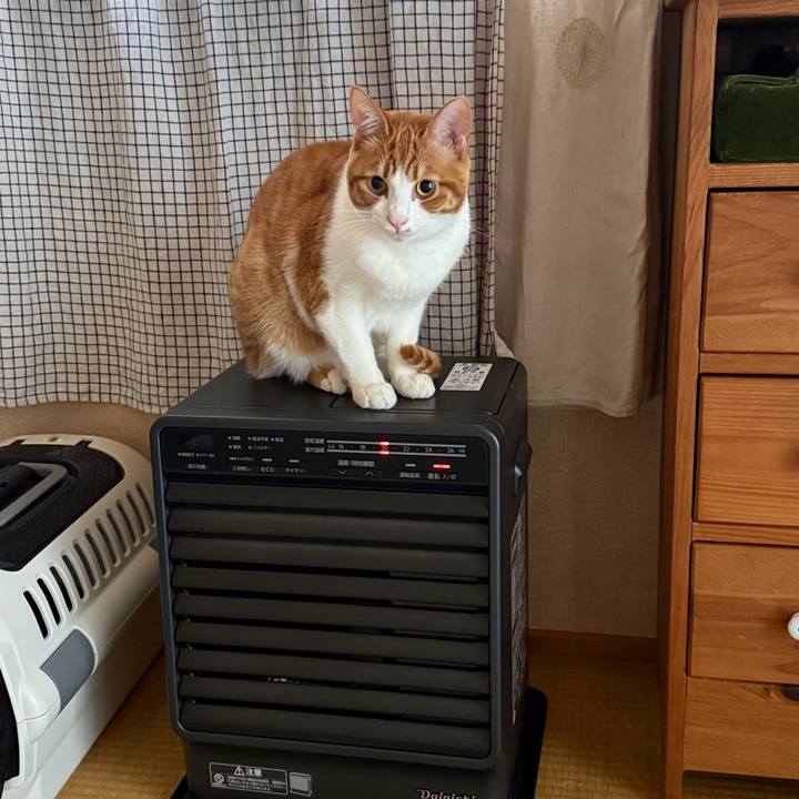 53e6719e fa9c 4906 b7bb e54f9a5216f6 1770815197306