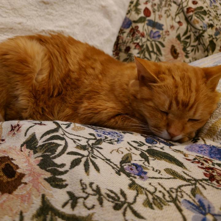 53e67e3c 9cf9 4108 8e43 27279cccbdbd 1770285390263