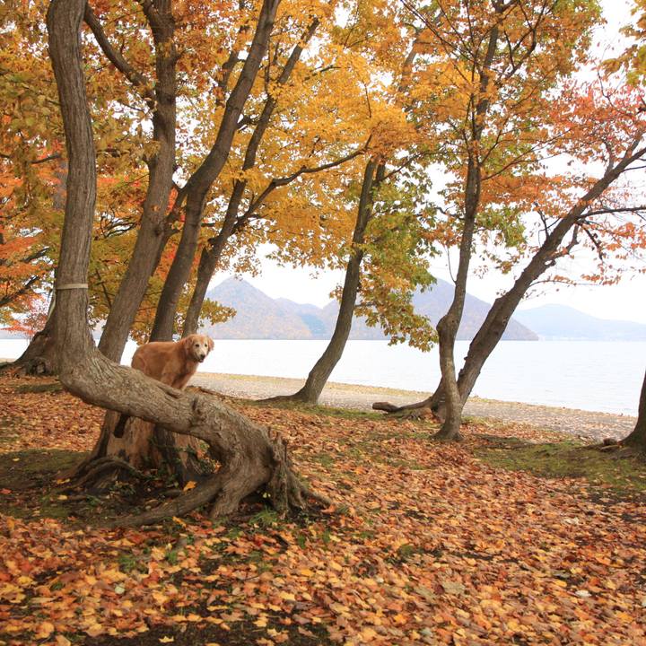 53e68103 f1cc 4c20 9afb 68079f19b3d2 1763462413818