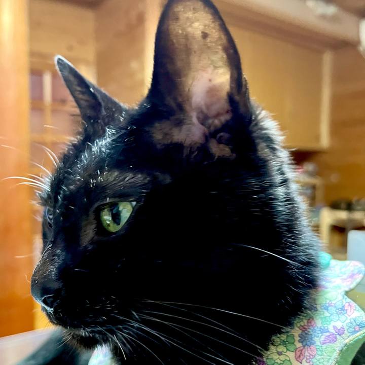 53e6e37d d514 443a 851e cb281f8b42a1 1729343625282