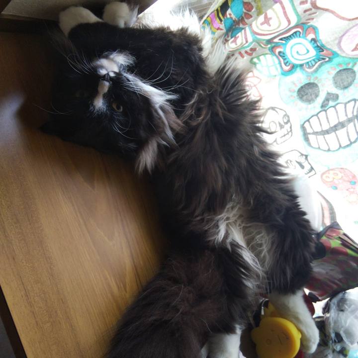 53e6f196 68d4 40c0 b5e4 1f879a1b2a95 1658112131878