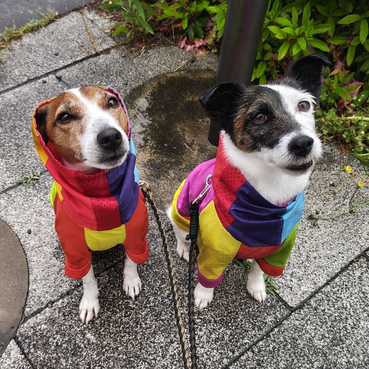 53e70c32 b360 46d3 9b41 9e33231d3b58 1746832616477