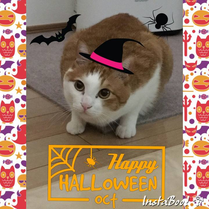 53e7414e 82ba 4fe0 99aa 660442b800da 1509436970061