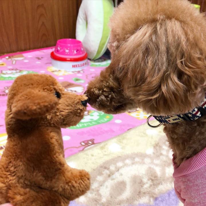 53e7682c 835c 4ee2 8018 ffa1dfa15bbc 1612664277512