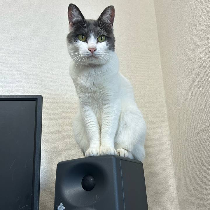 53e788c3 c347 43f6 9355 e29d35ec9af3 1771766567252