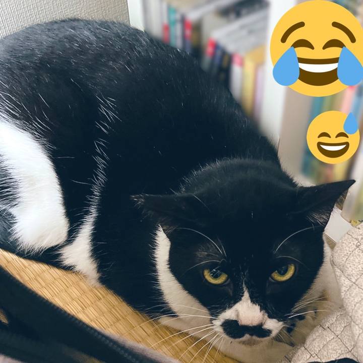 53e79181 5f32 490d 8d6b f51a866e3d00 1664801491483