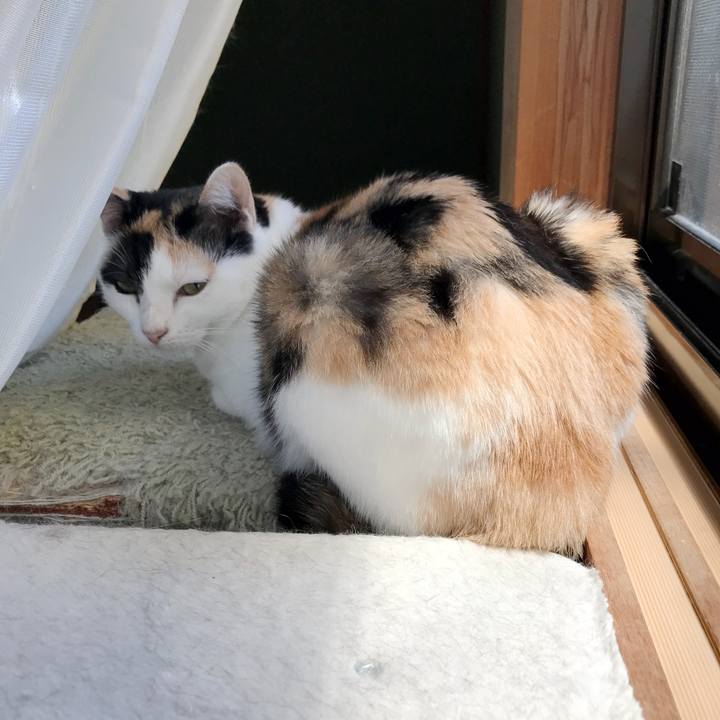 53e7c592 a965 44c1 b7f5 0f3b2063c8a9 1536541303148