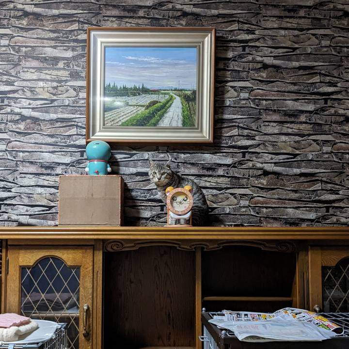 53e7d1fe c954 466b 8f74 83cb058e63a0 1693743026756