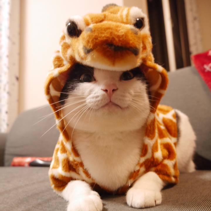 53e7ef03 8974 4286 ae84 6e3d06dc149d 1520863205571