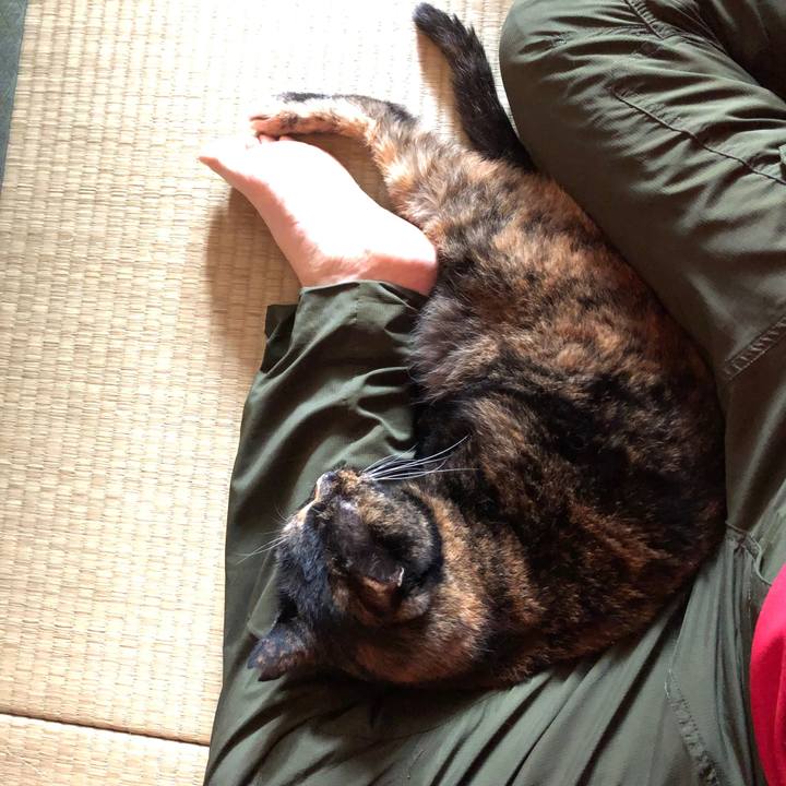 53e7fb9e 7c7f 4c37 aacd 8f25e19c900e 1627549875763