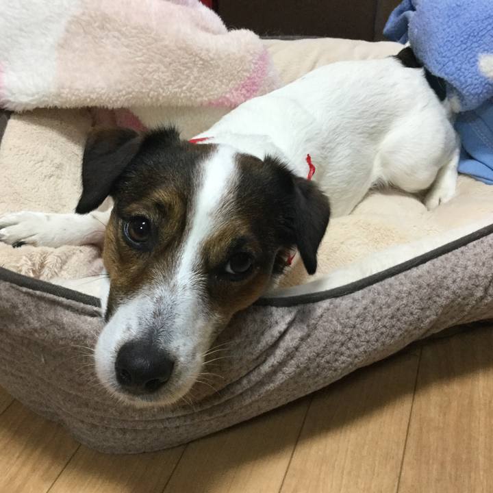 53e812cb 2fa2 4fb4 9a85 432836544bcc 1521498674641