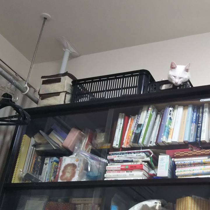 53e851ef e59c 406c 8220 da1df433fed1 1638189674372