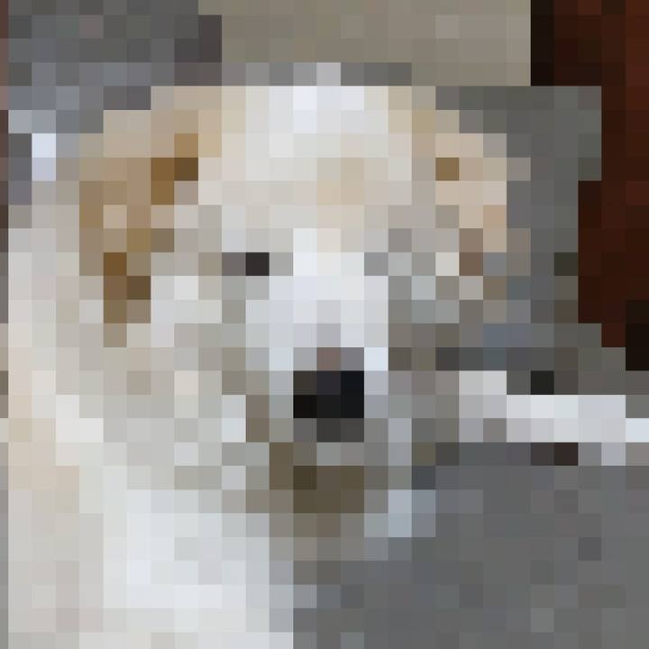 53e8a7b0 53db 4ca6 a2a1 497340e013f7 1662330877366