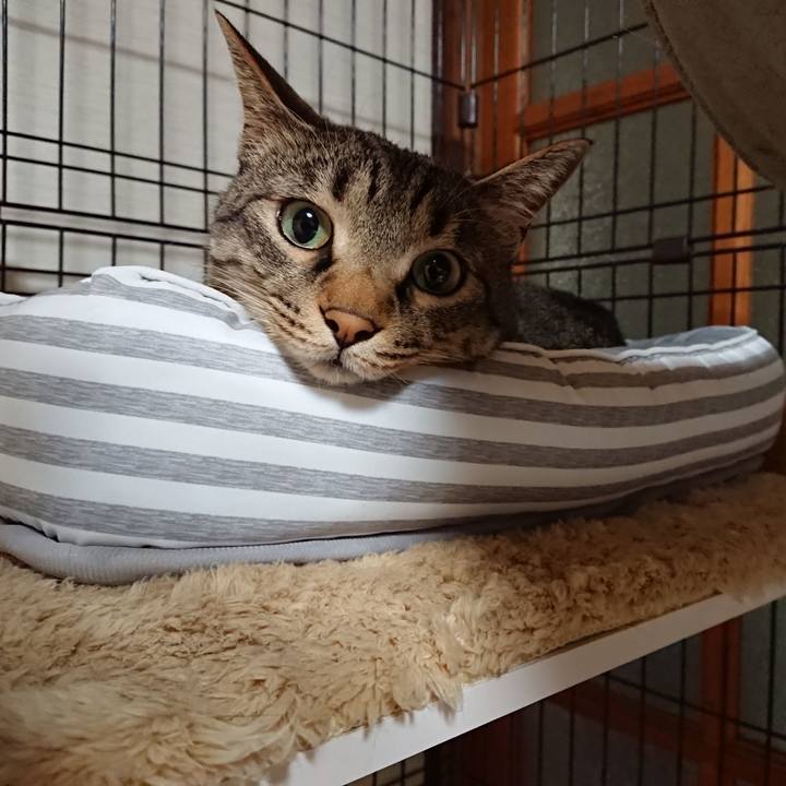 53e8be48 f9d5 4aec be35 36e8dbddcda5 1560084281557