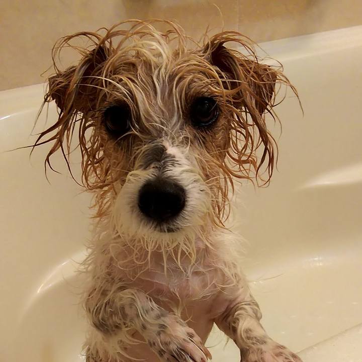 53e8c737 6e71 4584 86cf 59eca8185947 1542549845366