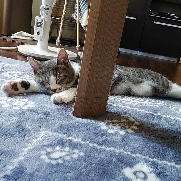 53e8e74d 2834 41c6 9735 d0d66f849cf8 1566708090533