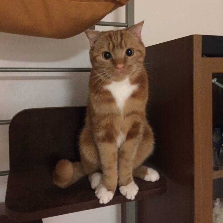 53e8f3f2 d6b4 4e74 b80c 11f9f535944c 1524784177105