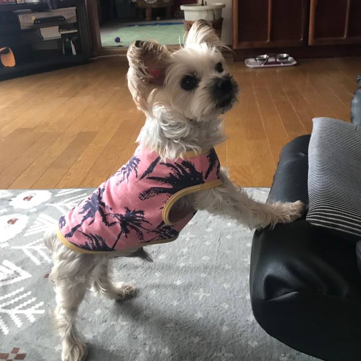 53e9341c d115 4da1 be39 910a51365a51 1571219717093