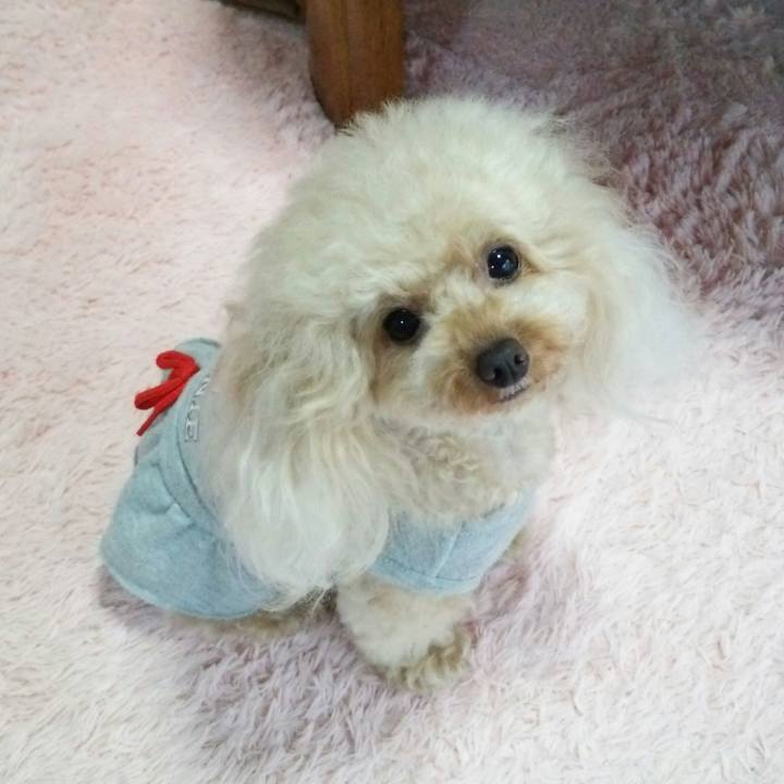 53e94ff1 d2e9 4960 983c 0924fbc2239e 1539302517019