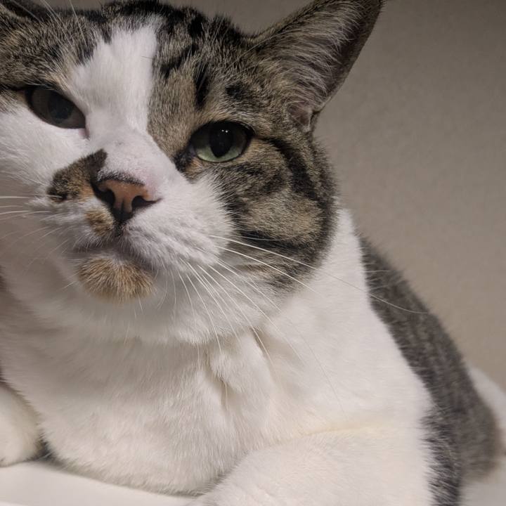 53e9a114 c4f4 4d3d 8f5f 5527af6d83ff 1754396424948