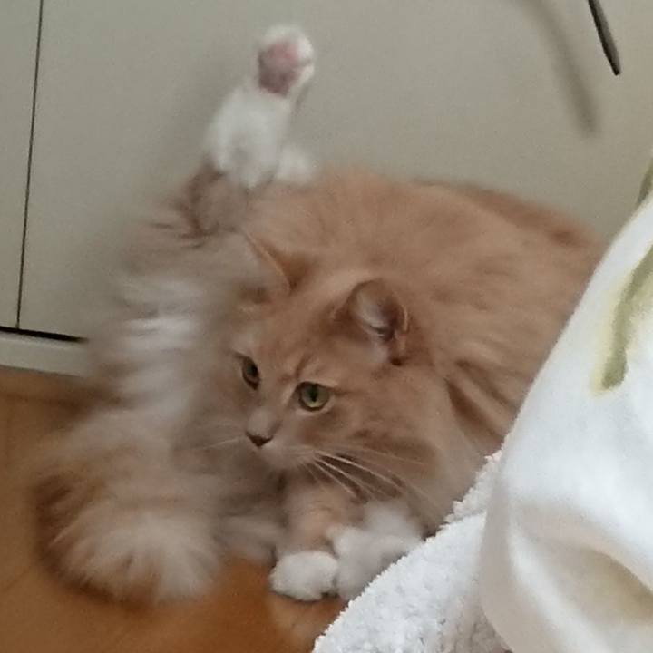 53e9d28d 6e3f 4d05 88ad c22f91cad5b6 1543374251139