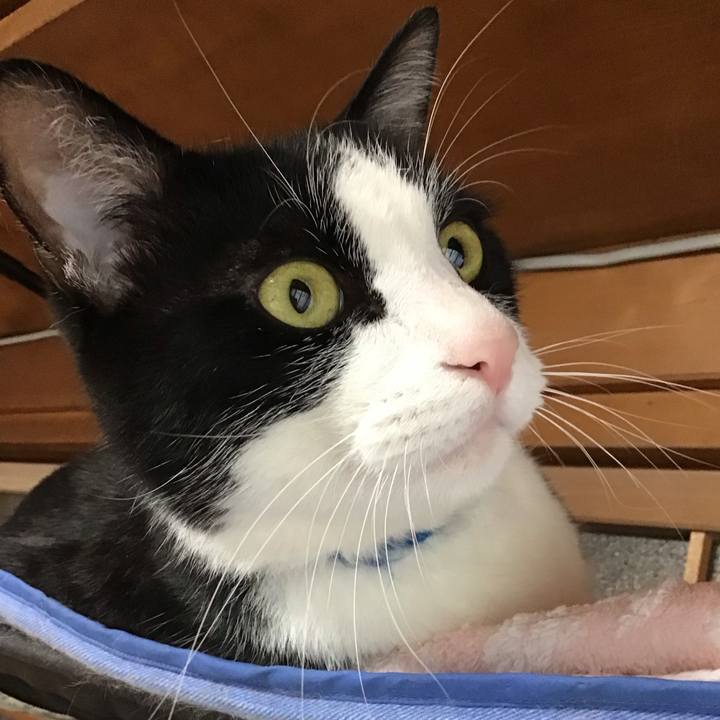 53e9f54b 2330 4f67 b669 75b770d7f416 1717310336524