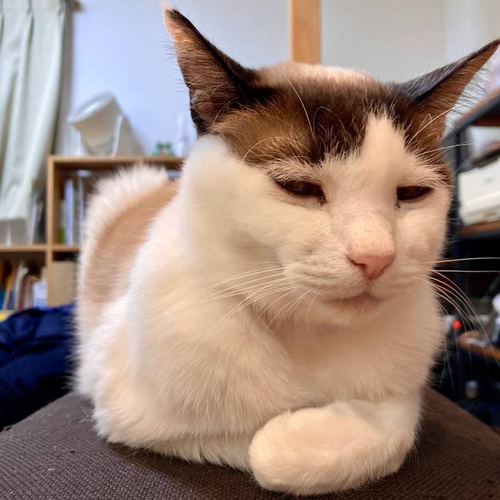 53ea4254 4c2b 4dd0 bb1e f36f00a7883e 1643887161697