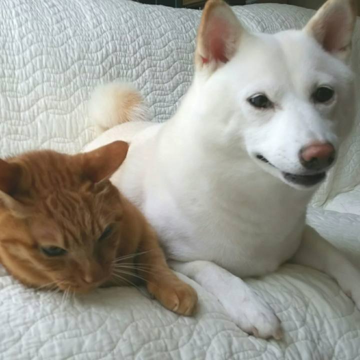 53ea4d8a 7a2f 4248 81c1 bc021f3f9dd5 1567556338041