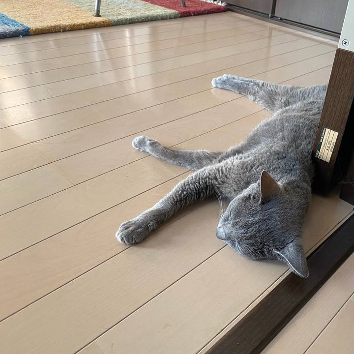 53ea71ea 370a 478f 9e18 3d9dff8481ea 1627949175861