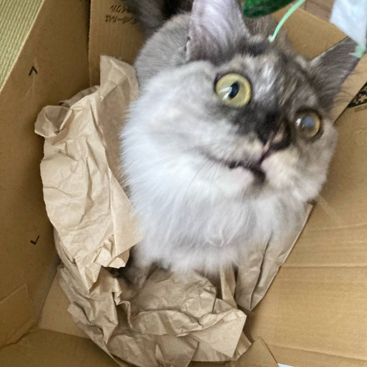 53ea7b06 50e8 444b 92e5 b859387de664 1754195789372