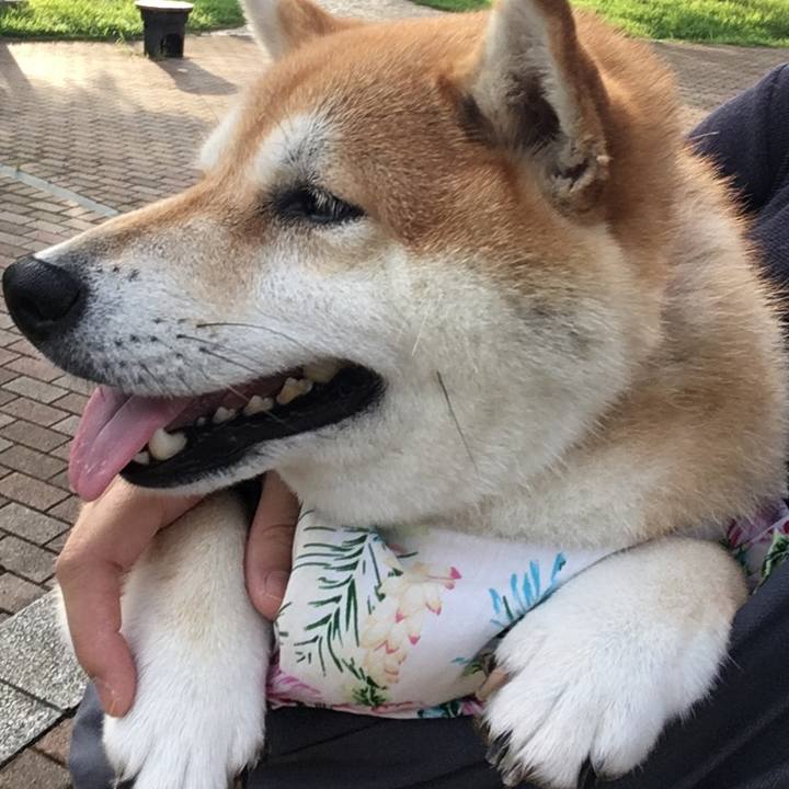 53ea8b26 2eac 44c8 a92d a53771e6eaa9 1566340217439