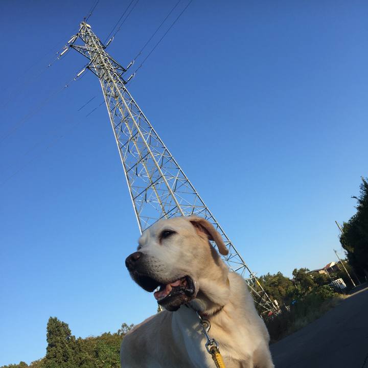 53ea8eb7 a227 4a78 afa5 da05bb5db453 1597718934506