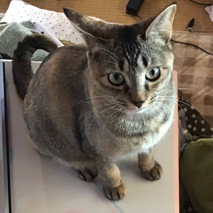 53eb1fd0 9516 4a09 b44c 59b1ad8532b8 1581585699010