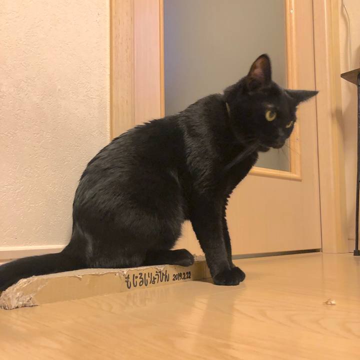 53eb23b3 802a 480a 906e 8b6be0c591ff 1551007918448